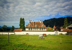 Reitstall Bürki - Ihr Reitstall für Beritt und Pferdepension in Oberdiessbach (BE)